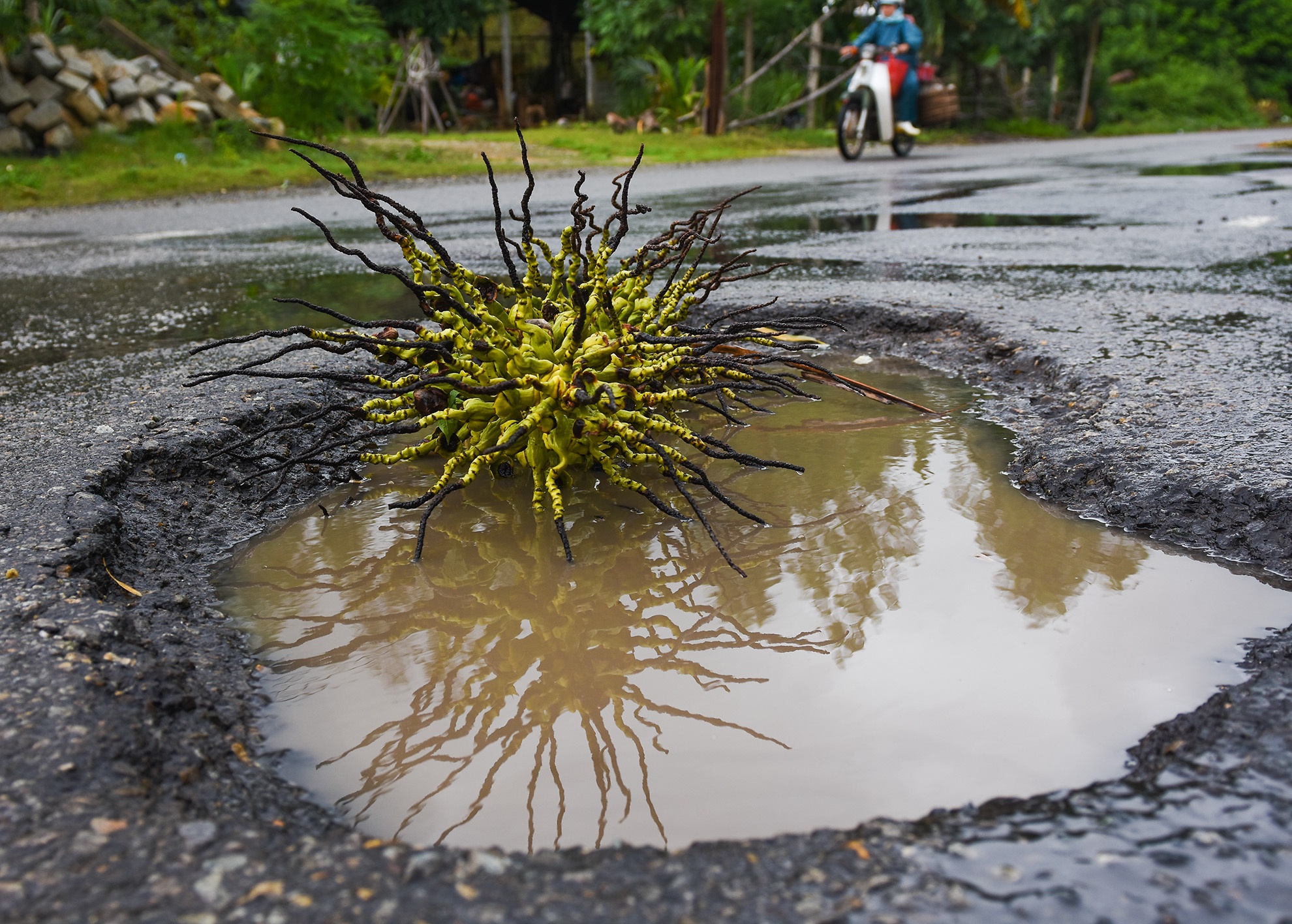 Va o voi bang bao cat anh 3