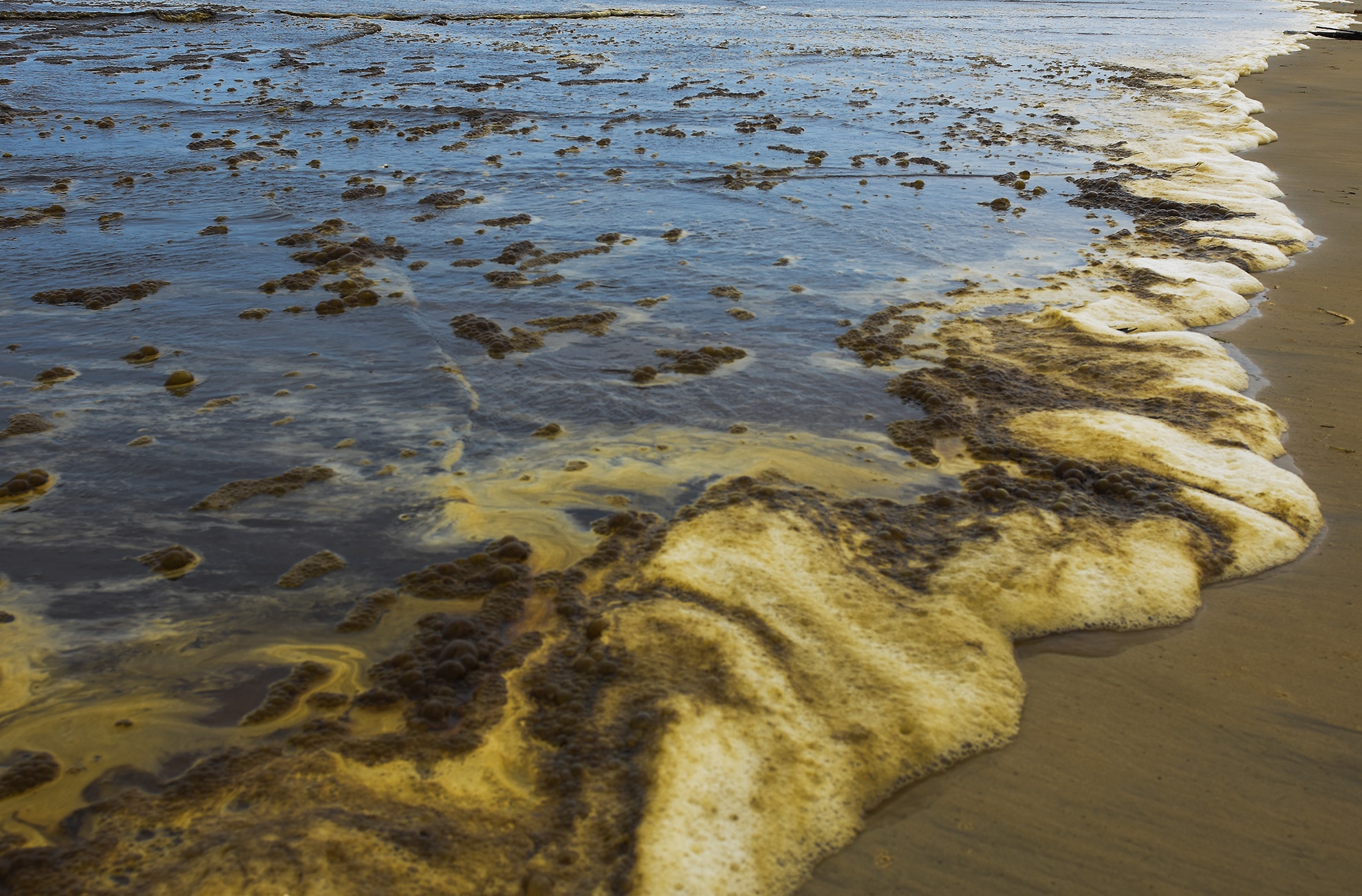 Nuoc bien nhuom den bat thuong anh 9