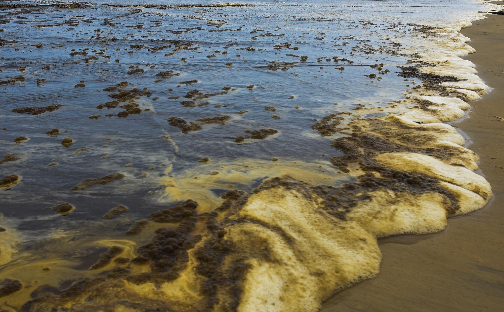 Dan lo lang khi nuoc bien doi mau nhu ca phe hinh anh
