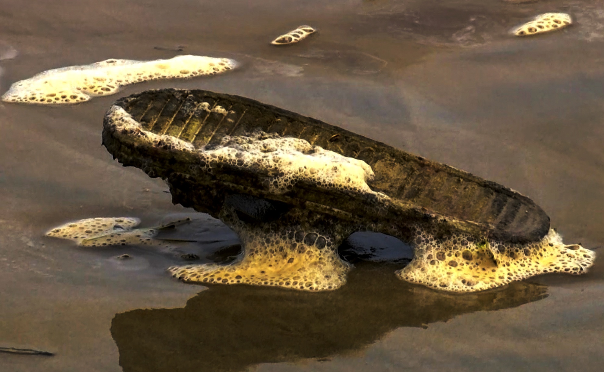 Nuoc bien nhuom den bat thuong anh 7