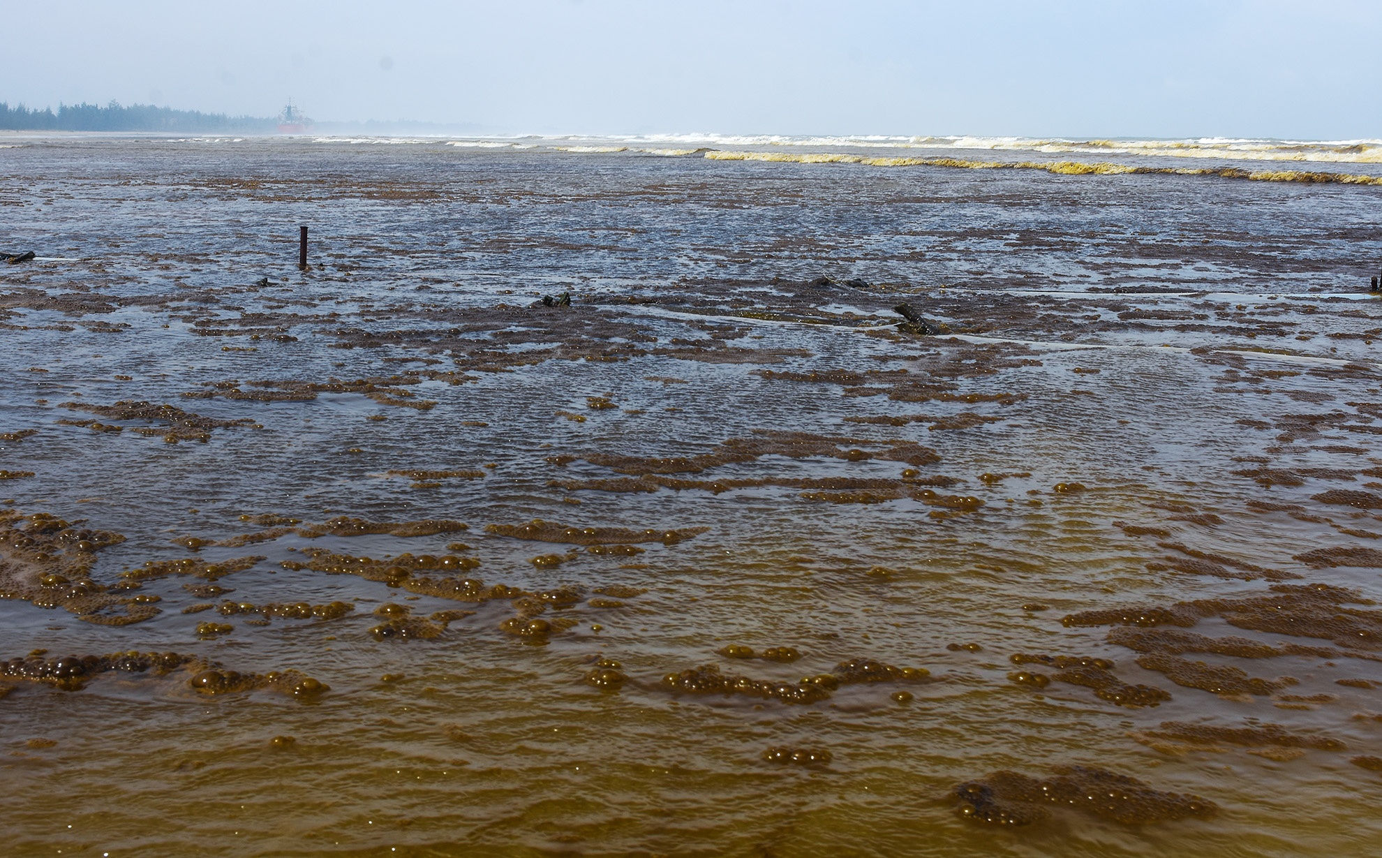Nuoc bien nhuom den bat thuong anh 2