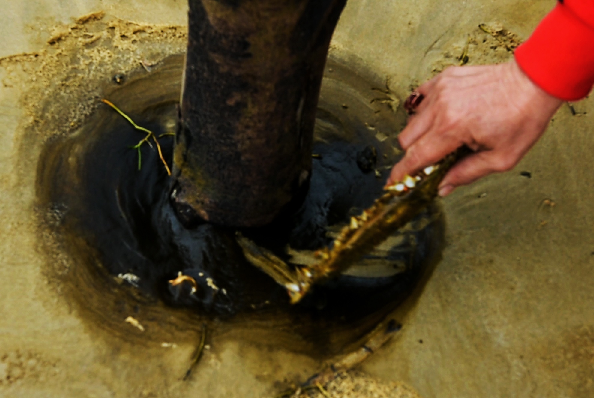 Nuoc bien nhuom den bat thuong anh 3