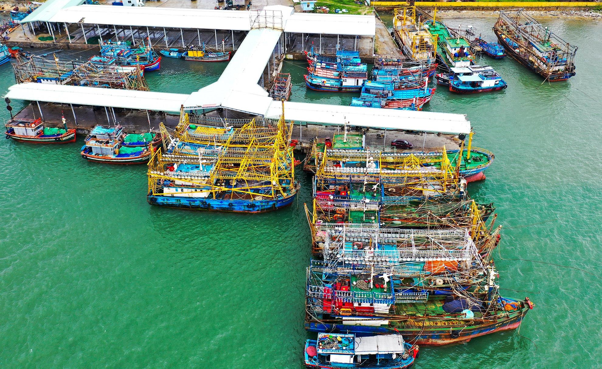 Dieu tra cac vu tau thep cua ngu dan chim 'bi an' hinh anh