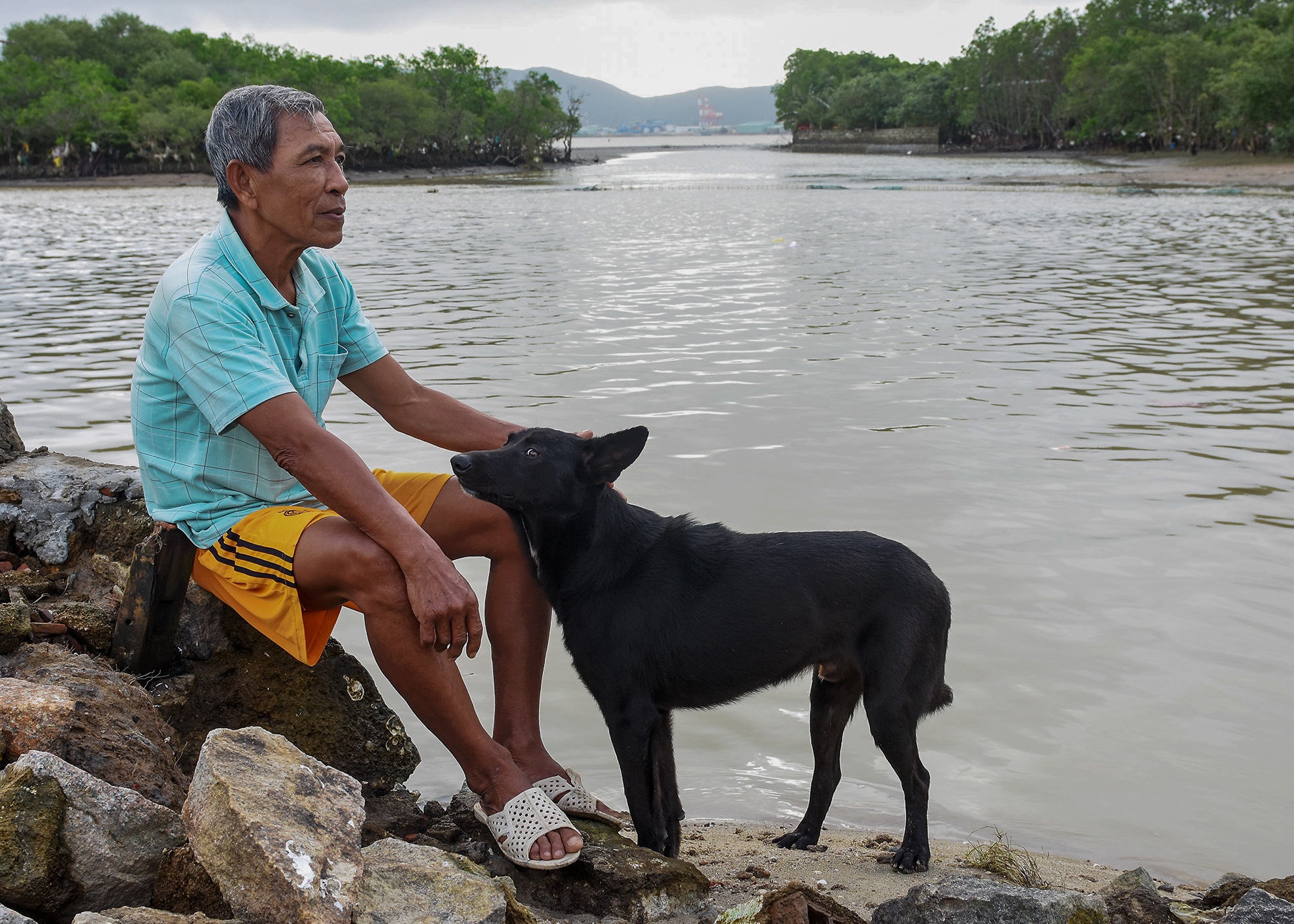 Rung ngap man Thi Nai tan nat anh 8