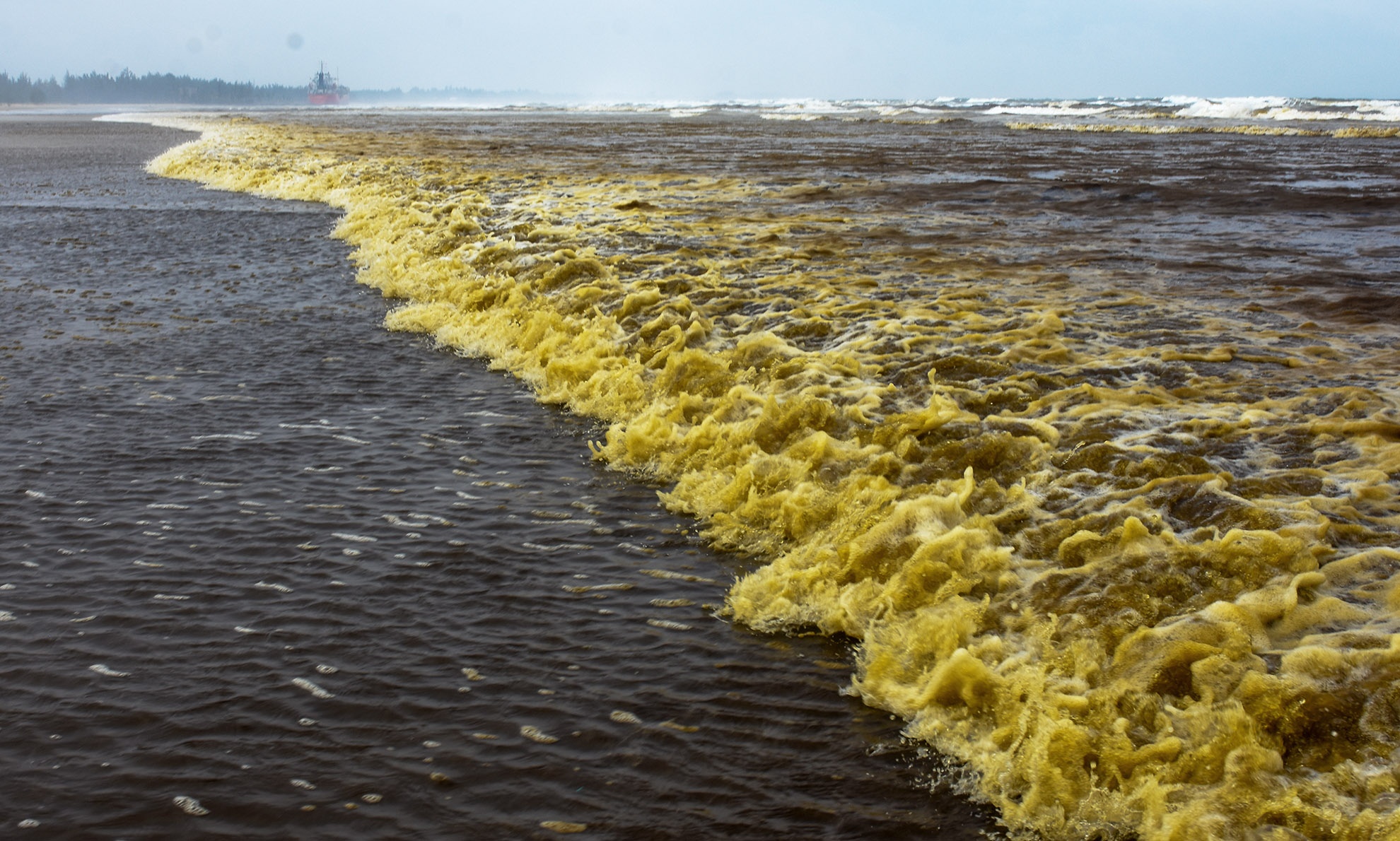 Canh sat dieu tra nguyen nhan nuoc bien mau ca phe o Quang Ngai hinh anh