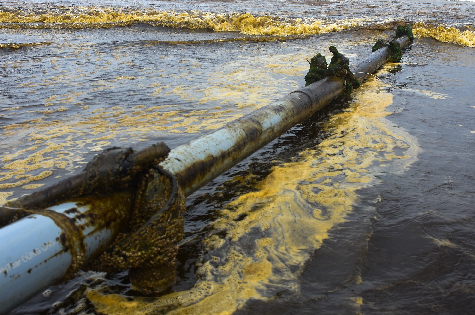 Nước biển đen như cà phê ảnh 2 Nuoc bien den nhu ca phe anh 2