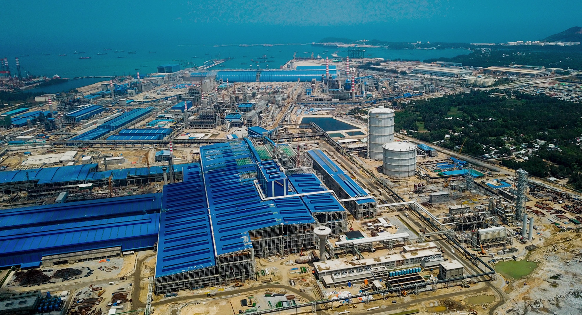 Cây gần nhà máy Hòa Phát rụng kas ảnh 2 Cay gan nha may Hoa Phat rung kas anh 2