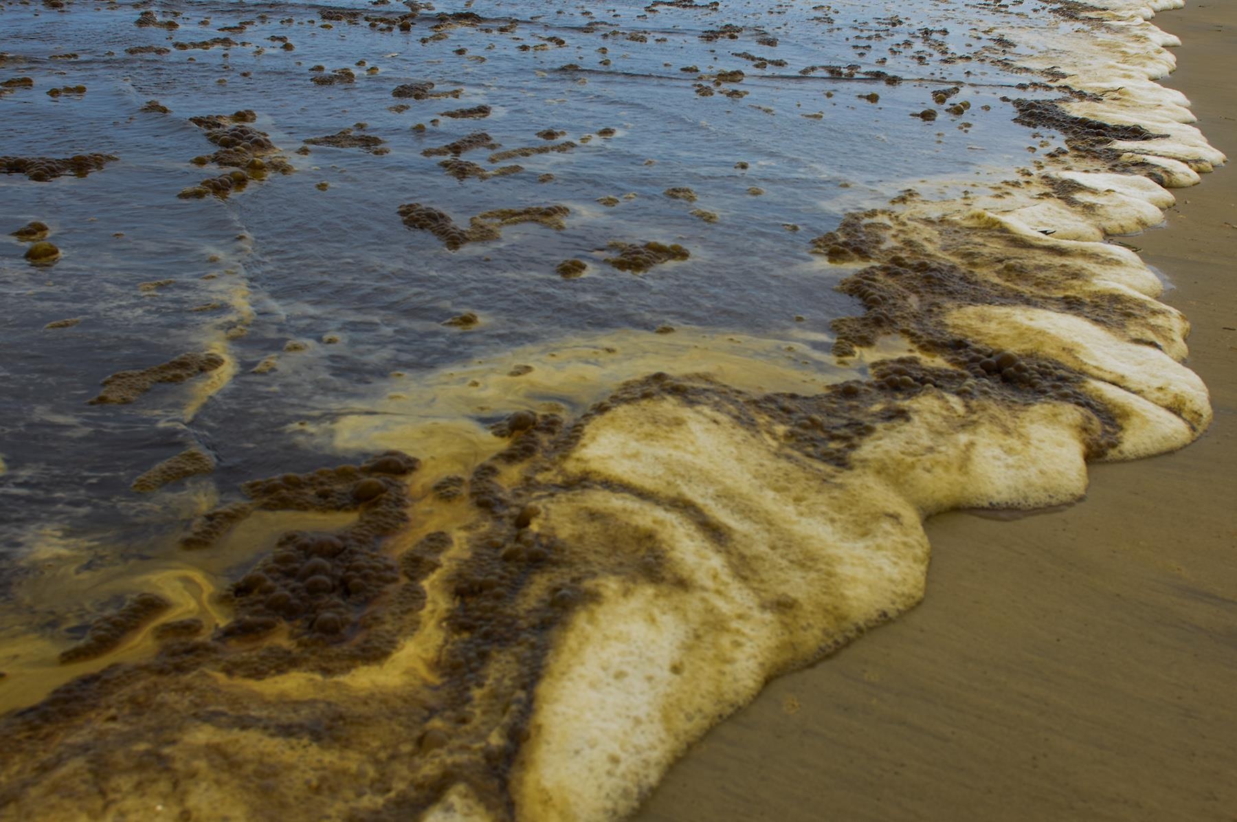 Nong do pH vuot muc cho phep trong nuoc bien mau ca phe hinh anh