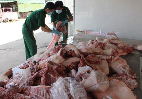 Thue taxi cho heo ban vao nha hang o Sai Gon hinh anh