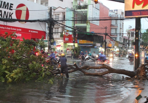 Tim nhan su thay the 4 giam doc nhan luong ‘khung’ hinh anh