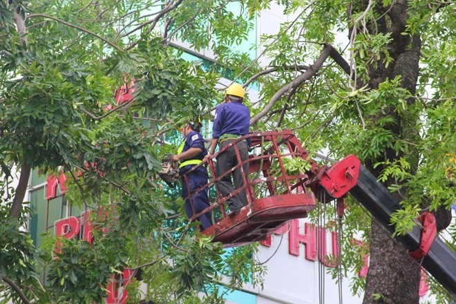 Cong an TP.HCM dieu tra vu cac giam doc nhan luong ‘khung’ hinh anh