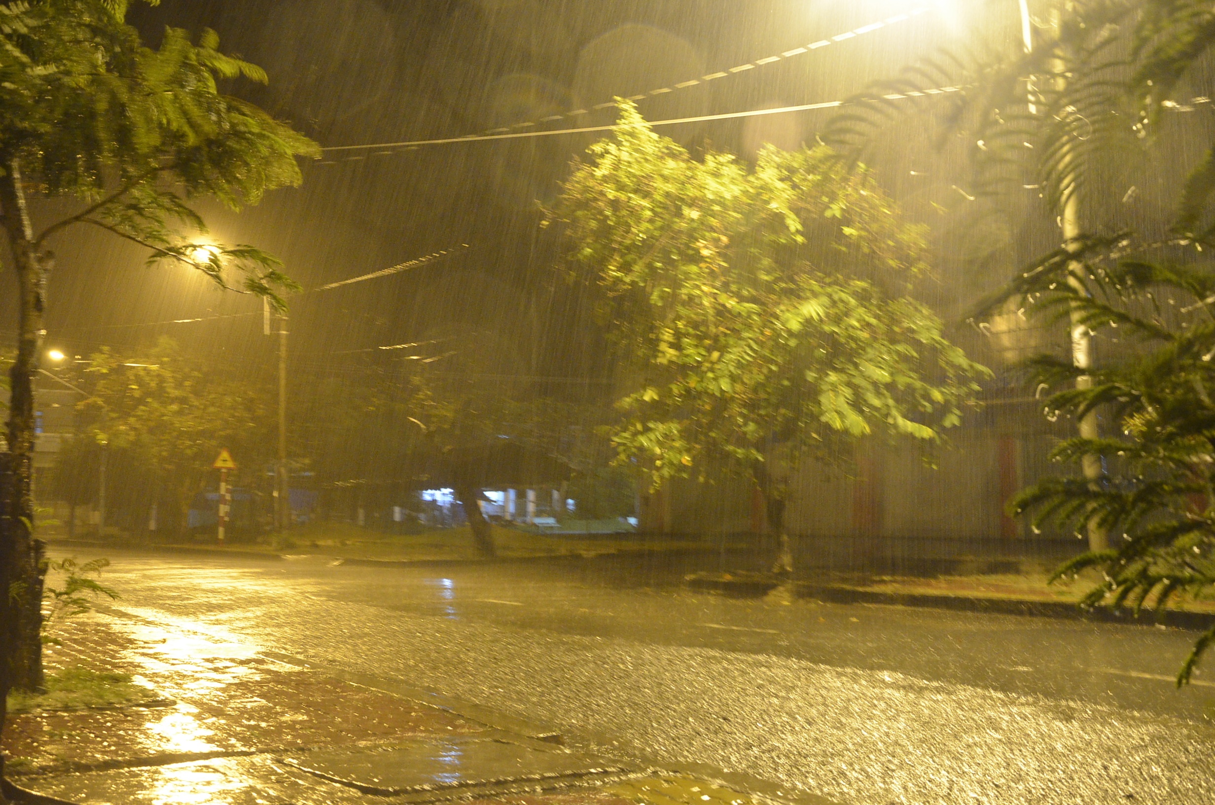 Vung ven bien Vung Tau mua lon va gio giat manh hinh anh