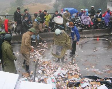 Nhung vu 'hoi cua' xau ho cua nguoi Viet hinh anh