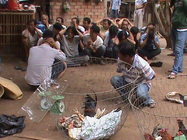 Trinh sat dot kich truong ga dip giap Tet hinh anh