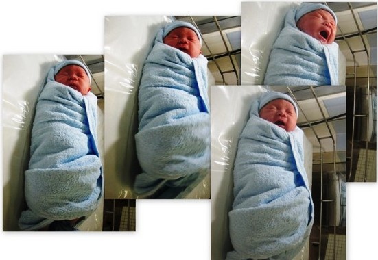 40 'chu ngua con' chao doi trong sang dau nam o Sai Gon hinh anh