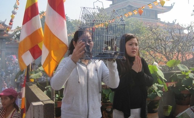 Nguoi Sai Gon di le chua, phong sinh cau may ngay dau nam hinh anh