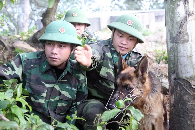Pho Thu tuong chi dao quan doi day manh chong toi pham hinh anh
