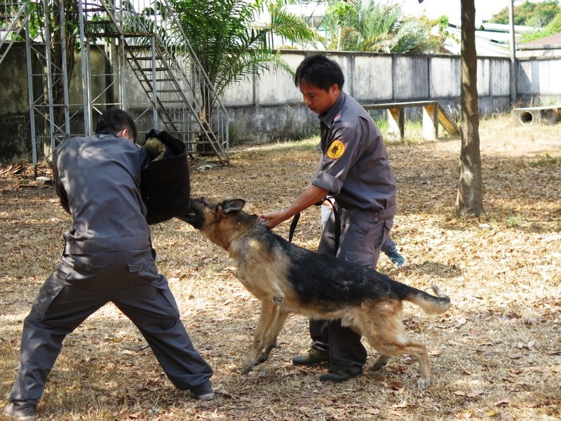 Cho 'tham tu' Sai Gon luyen tap danh an hinh anh