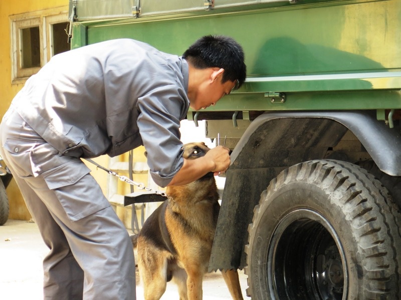 Trong vòng chưa đầy 5 giây Gold đã tìm ra chỗ bọn phản động cất giấu thuốc nổ trên chiếc xe ô tô này.