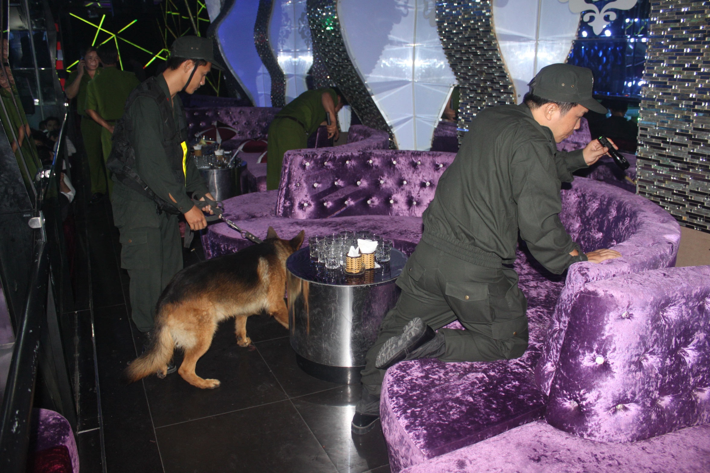 Cho 'tham tu' Sai Gon di vu truong truy tim thuoc lac hinh anh