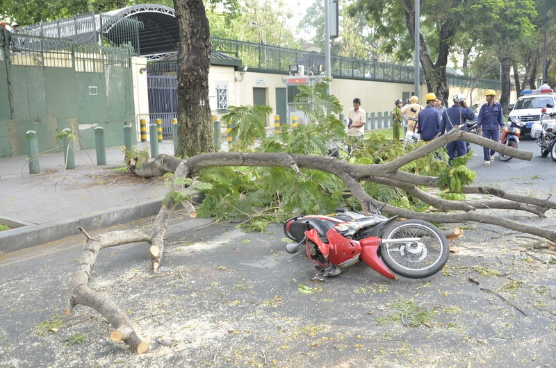 Chị Thủy bị gãy chân trái và được các bác sĩ của Bệnh viện quận 1 sơ cứu tại chỗ, còn chị Nhi bị thương ở nhiều vùng trên cơ thể nên được chuyển gấp vào bệnh viện cấp cứu.