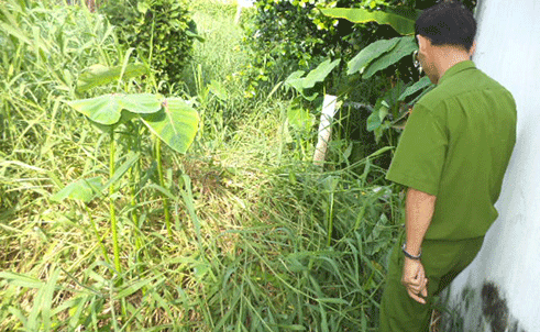 Gio tro sam so roi giet nguoi diet khau hinh anh