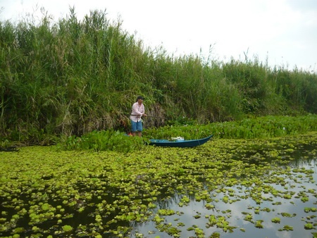 Rao riet tim hung thu vu xac be gai loa the trong ao lang hinh anh
