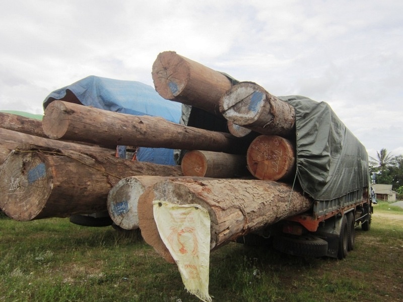 Doan xe cho go 'sieu khung' vuot tai trong... 340% hinh anh