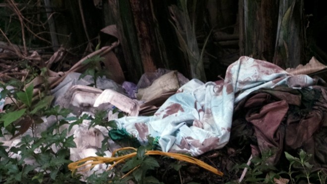 Phut hoang hot thay thi the chay den trong bui chuoi hinh anh