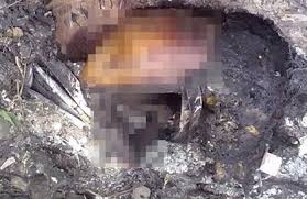 5 ke giet nguoi dot xac chi vi mau thuan trong buoi nhau hinh anh