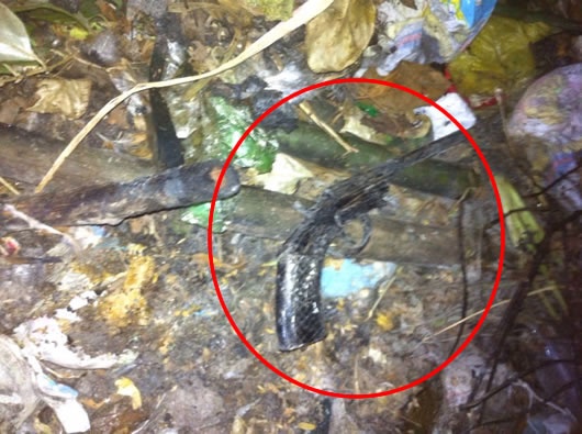 150 ngay truy tim ke no sung trong dem hinh anh