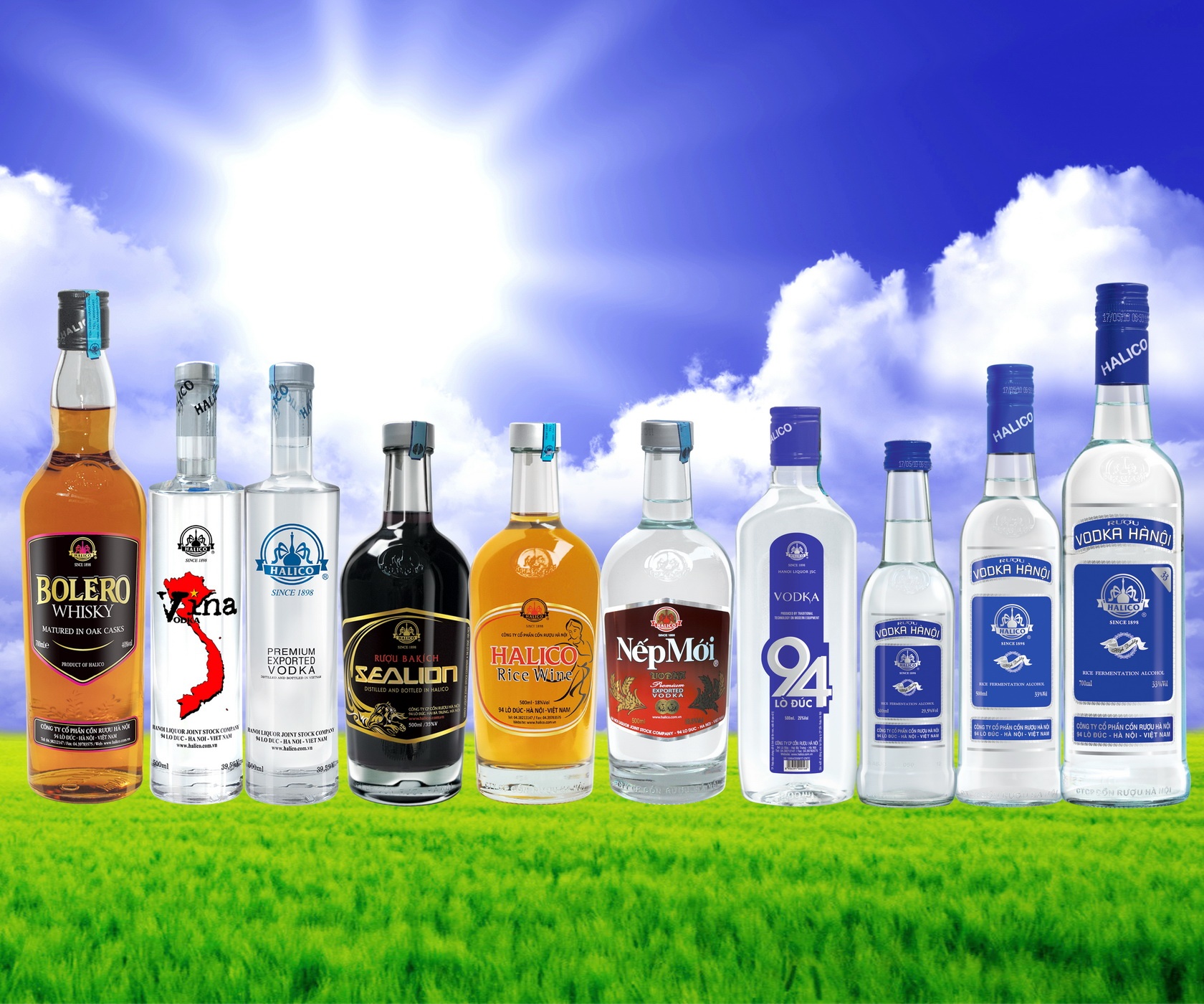 Truy to nguyen giam doc cong ty con ruou Ha Noi - Halico hinh anh