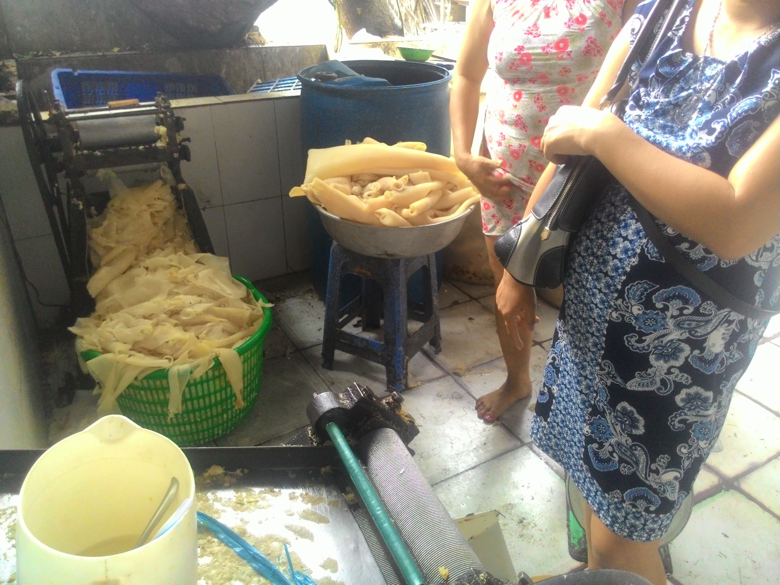 Tieu huy hon 200 kg da heo ngam hoa chat hinh anh