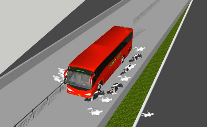 Video mo phong oto tong 9 nguoi trong thuong o Sai Gon hinh anh