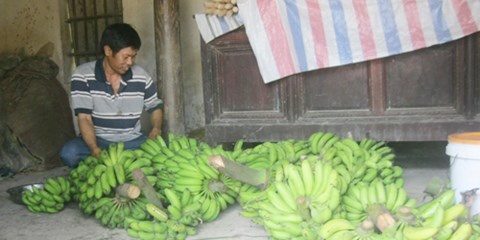 Ca xom gop do lam dam cuoi cho nguoi vua duoc tha tu hinh anh