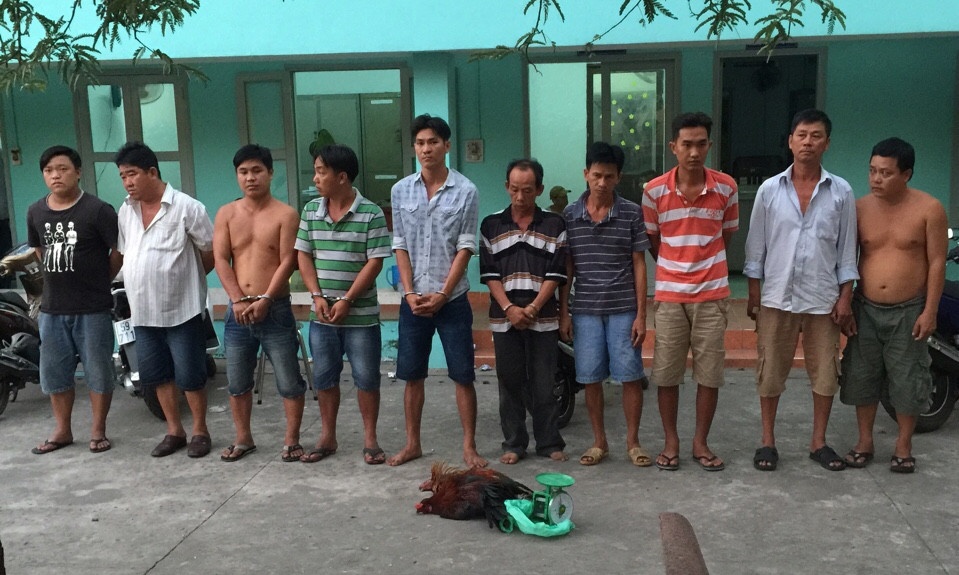 Pha o da ga, bat 10 nguoi trong ngay dau nam hinh anh