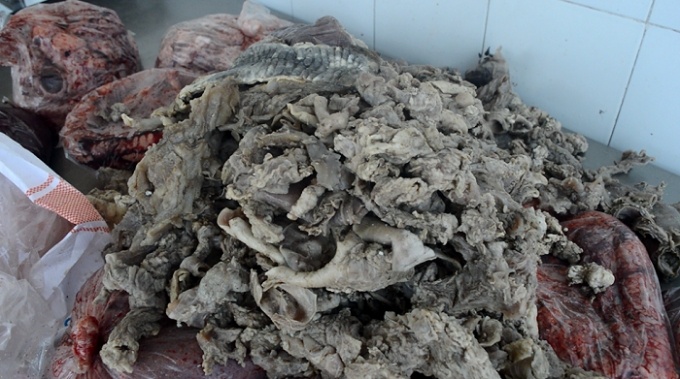 Xe giuong nam cho 2 ta phu pham bo thoi hinh anh