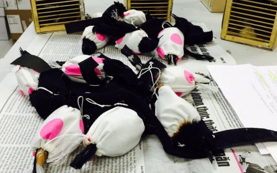 Buoc chim quy con song vao ong quan de qua cua khau san bay hinh anh