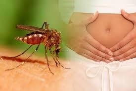 Thai phu dau tien nhiem virus Zika phai bo con hinh anh