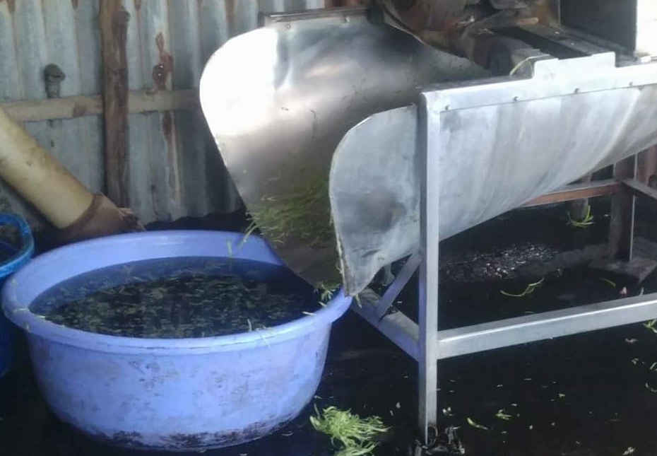 Rau ngâm hóa chất ảnh 1 Rau ngam hoa chat anh 1