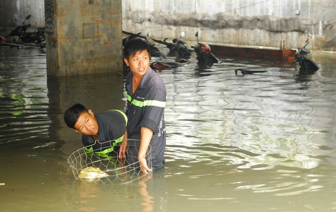 Mua lich su o Sai Gon anh 1