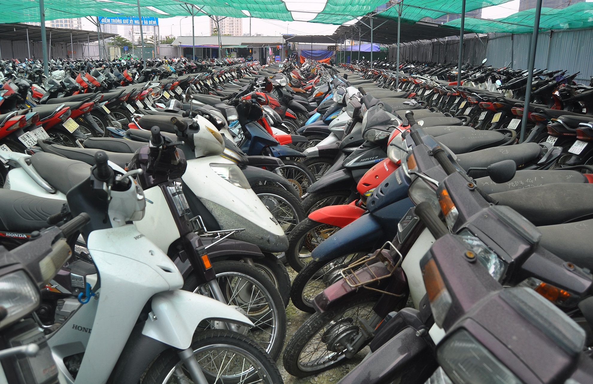 Truong cong an xa o Sai Gon lay 20 xe vi pham ban dong nat hinh anh