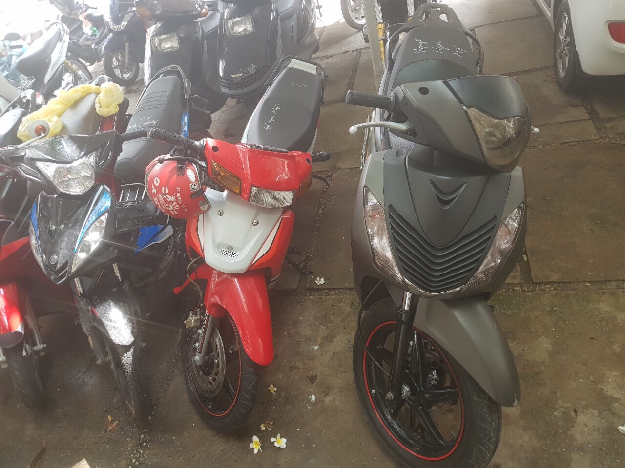 Băng cướp nghiện ma túy ảnh 2 Bang cuop nghien ma tuy anh 2