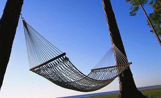 Suyt tan tat vi nam vong 40 nam hinh anh