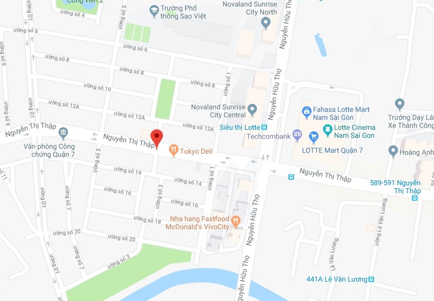 Cướp giật ở Sài Gòn ảnh 2 Cuop giat o Sai Gon anh 2