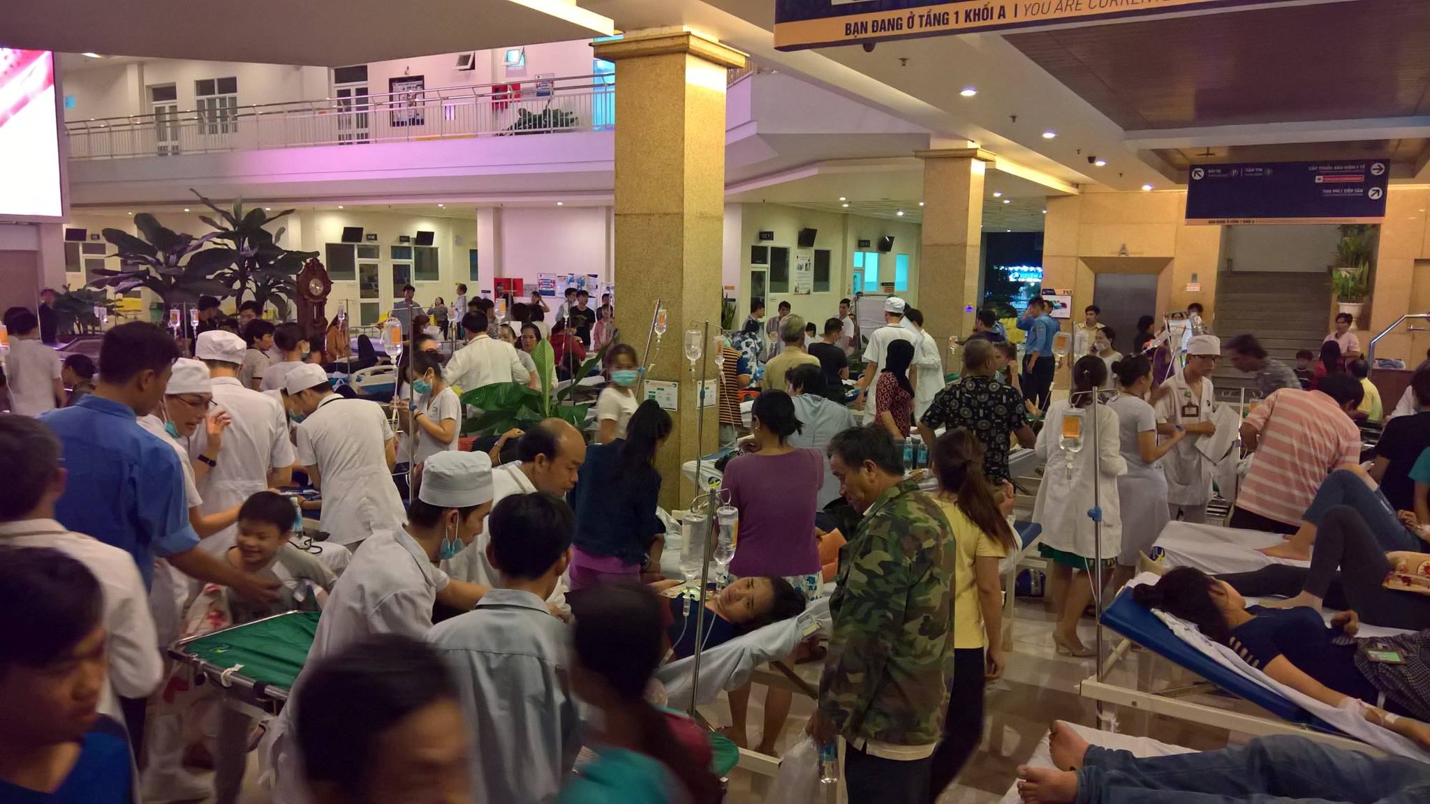 Ngộ độc thực phẩm ảnh 1 Ngo doc thuc pham anh 1