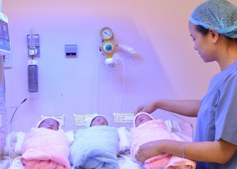 San phu mang tam thai sinh thuong hinh anh