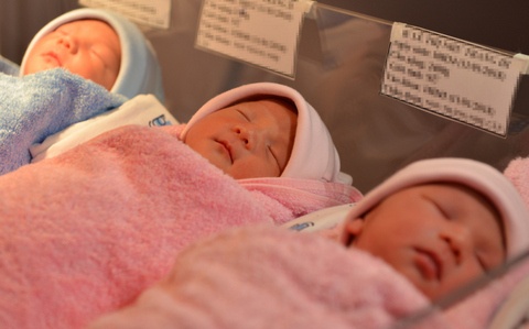 Sinh thuong 3 con anh 1