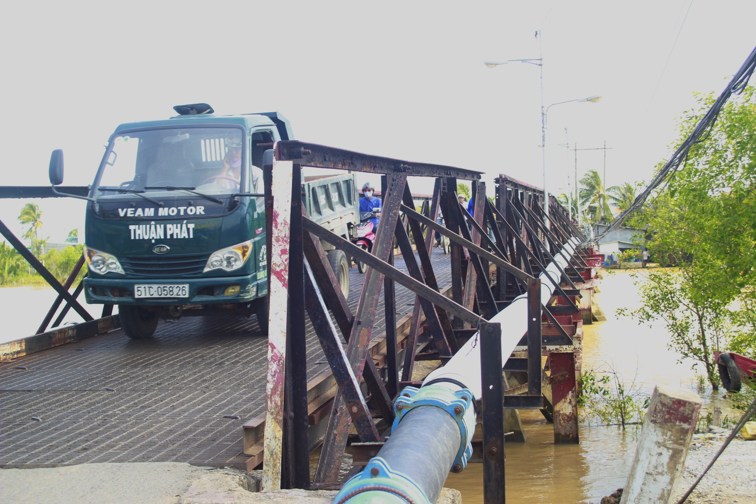 Nhung cay cau gia cho sap o Sai Gon hinh anh