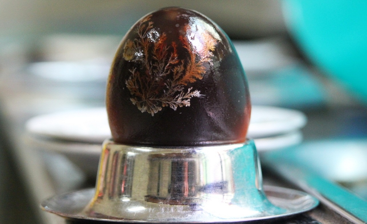 Xuat hien cay la moc trong qua trung 2 mau hinh anh